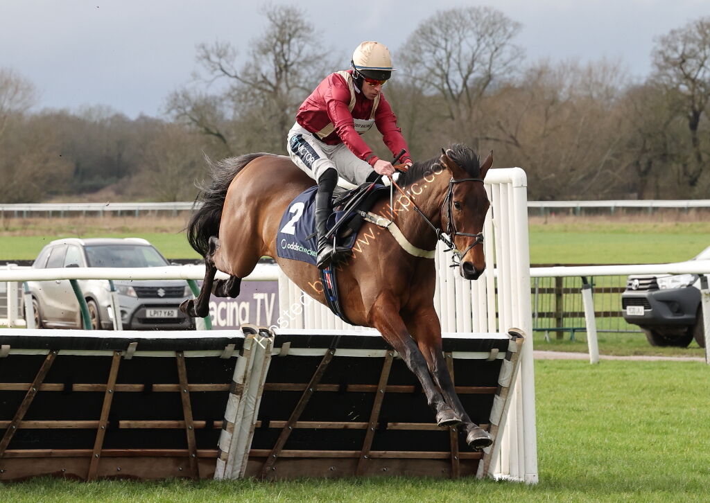 Oddschecker Warwick Mares' Hurdle
