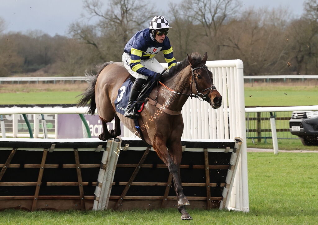 Oddschecker Warwick Mares' Hurdle