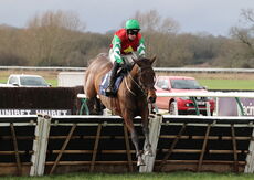Oddschecker Warwick Mares' Hurdle