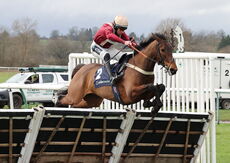 Oddschecker Warwick Mares' Hurdle
