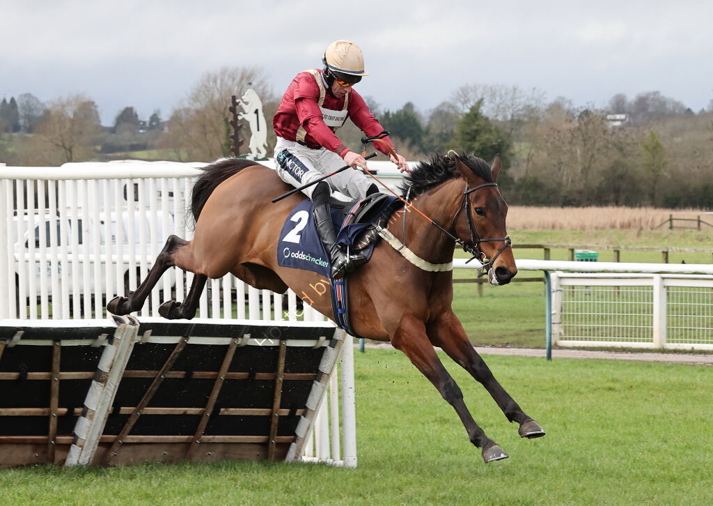 Oddschecker Warwick Mares' Hurdle