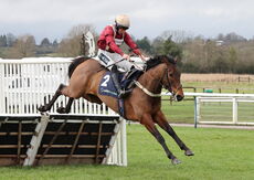 Oddschecker Warwick Mares' Hurdle