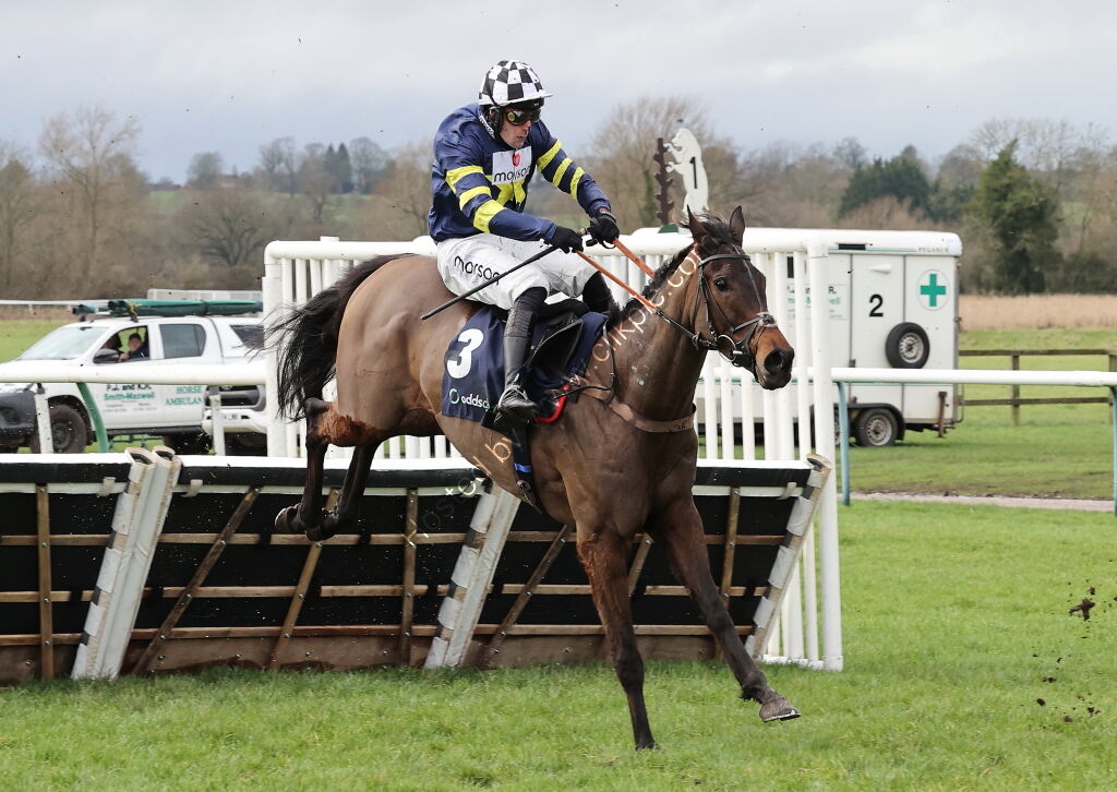 Oddschecker Warwick Mares' Hurdle