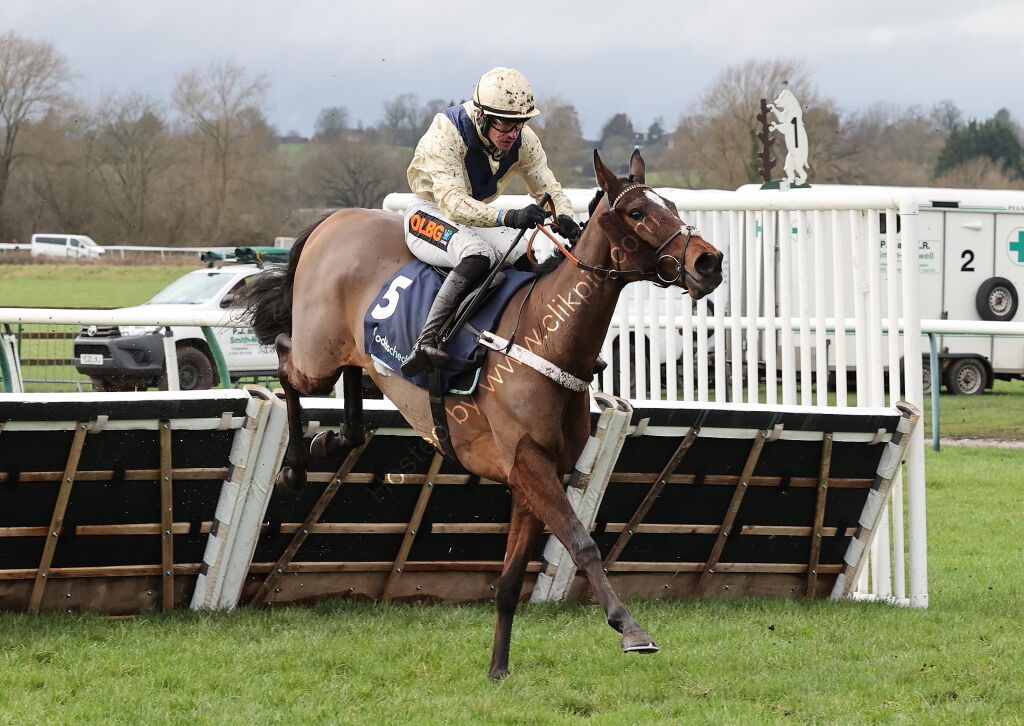 Oddschecker Warwick Mares' Hurdle