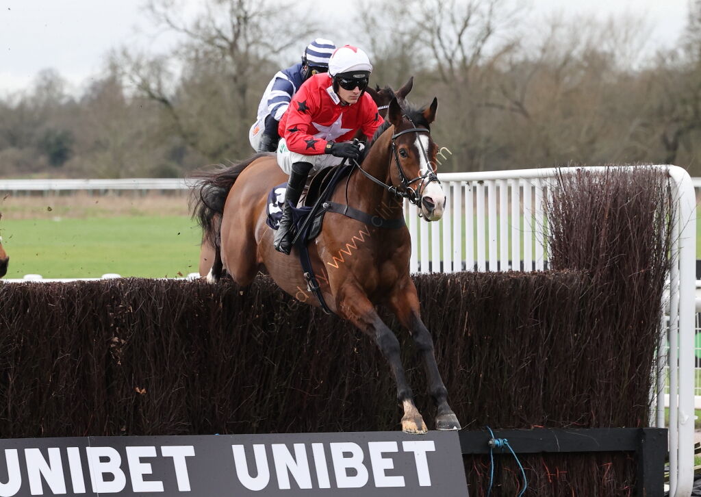 Oddschecker Kingmaker Novices' Chase