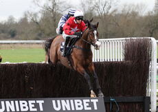 Oddschecker Kingmaker Novices' Chase