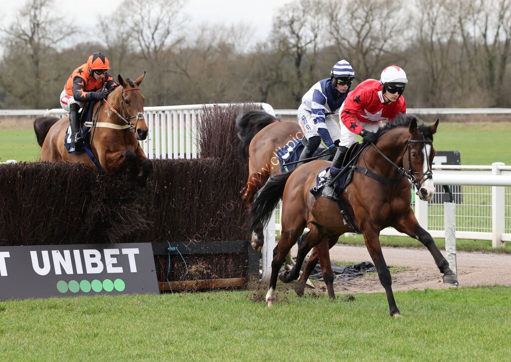 Oddschecker Kingmaker Novices' Chase