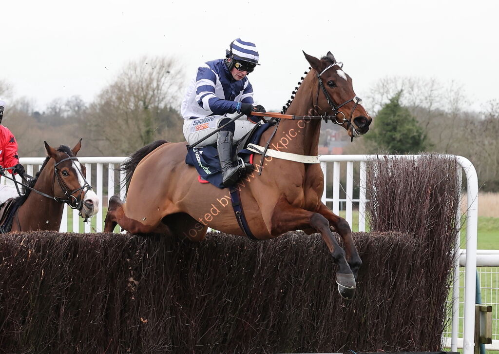 Oddschecker Kingmaker Novices' Chase