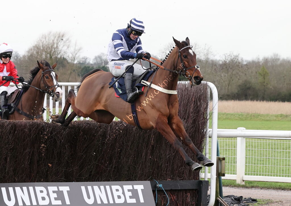 Oddschecker Kingmaker Novices' Chase