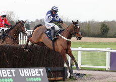 Oddschecker Kingmaker Novices' Chase