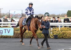 Oddschecker Kingmaker Novices' Chase
