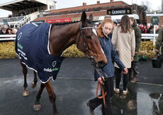 Oddschecker Kingmaker Novices' Chase
