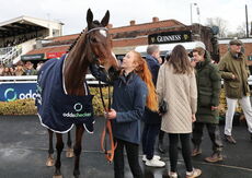 Oddschecker Kingmaker Novices' Chase