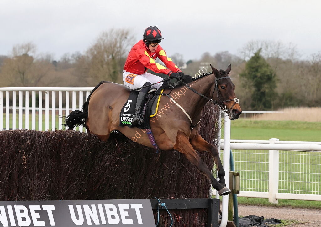 Unibet Veterans' Handicap Chase