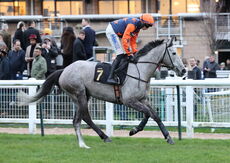 Weatherbys Jane Seymour Mares' Novices' Hurdle
