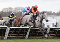 Weatherbys Jane Seymour Mares' Novices' Hurdle