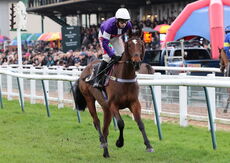 Oddschecker Handicap Hurdle