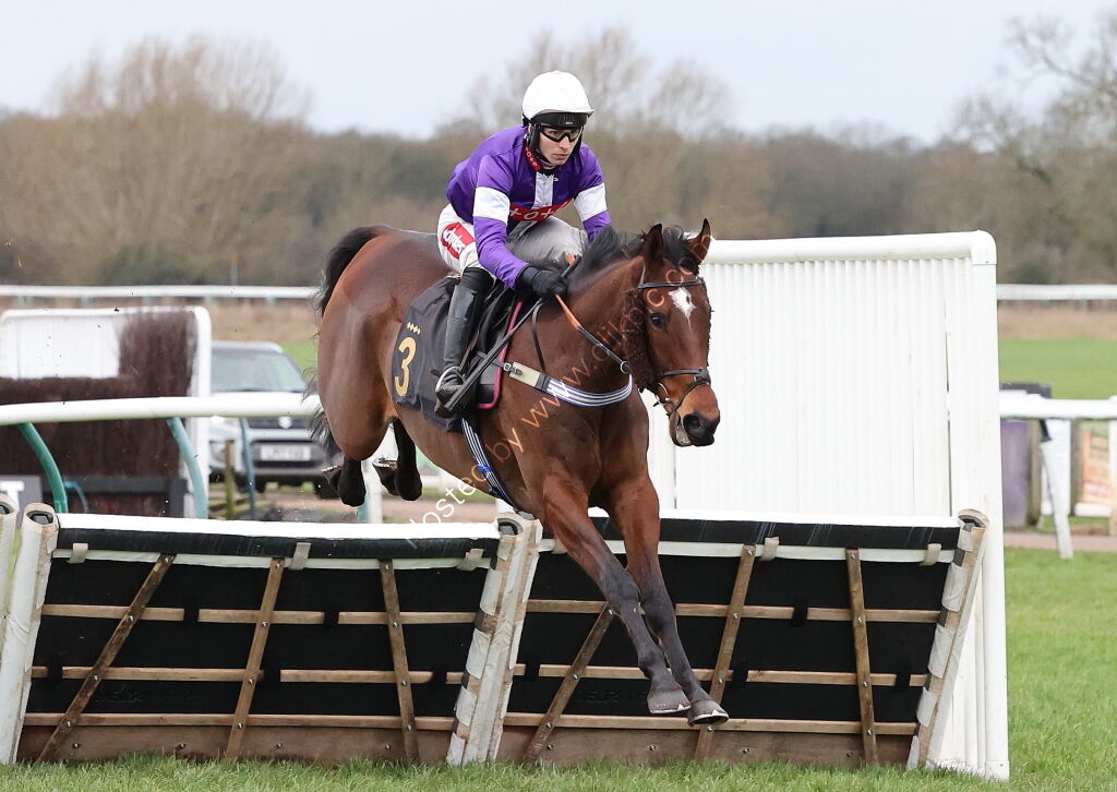 Oddschecker Handicap Hurdle