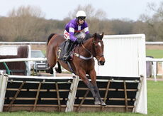 Oddschecker Handicap Hurdle