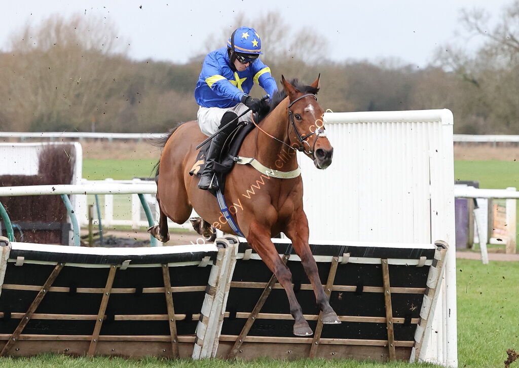 Oddschecker Handicap Hurdle