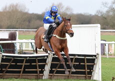 Oddschecker Handicap Hurdle