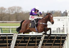 Oddschecker Handicap Hurdle