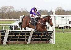 Oddschecker Handicap Hurdle