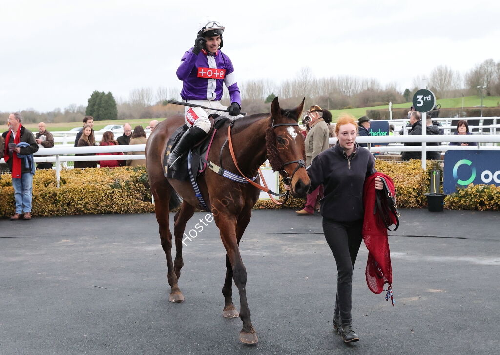 Oddschecker Handicap Hurdle