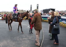 Oddschecker Handicap Hurdle