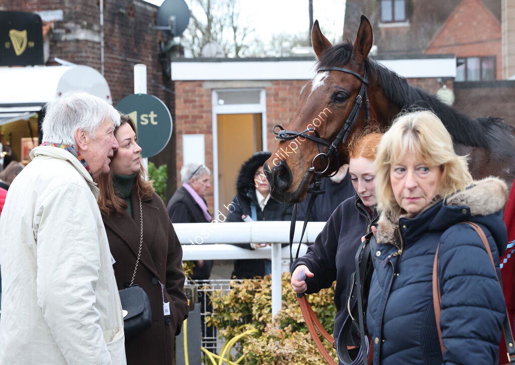 Oddschecker Handicap Hurdle