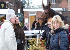 Oddschecker Handicap Hurdle