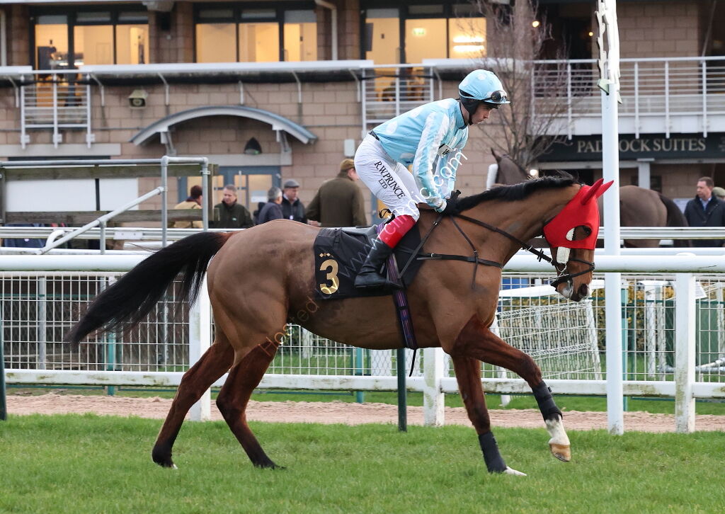 Oddschecker Handicap Hurdle