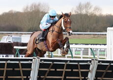 Oddschecker Handicap Hurdle