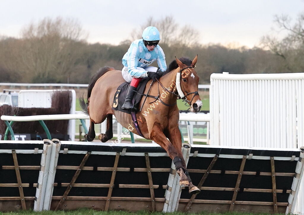 Oddschecker Handicap Hurdle