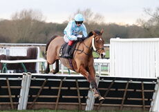 Oddschecker Handicap Hurdle