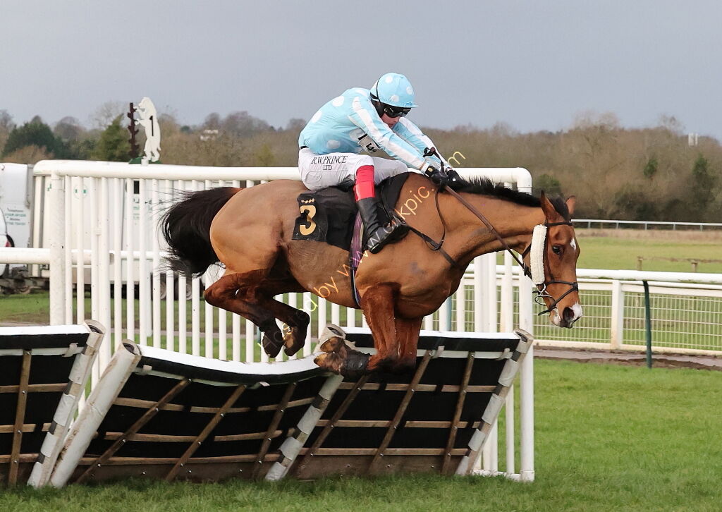 Oddschecker Handicap Hurdle