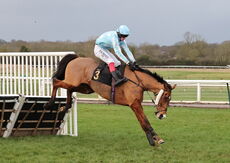 Oddschecker Handicap Hurdle