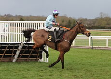 Oddschecker Handicap Hurdle