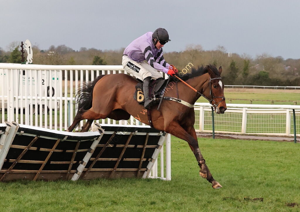 Oddschecker Handicap Hurdle