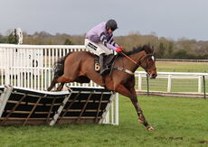 Oddschecker Handicap Hurdle