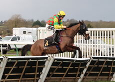 Oddschecker Handicap Hurdle