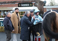 Oddschecker Handicap Hurdle