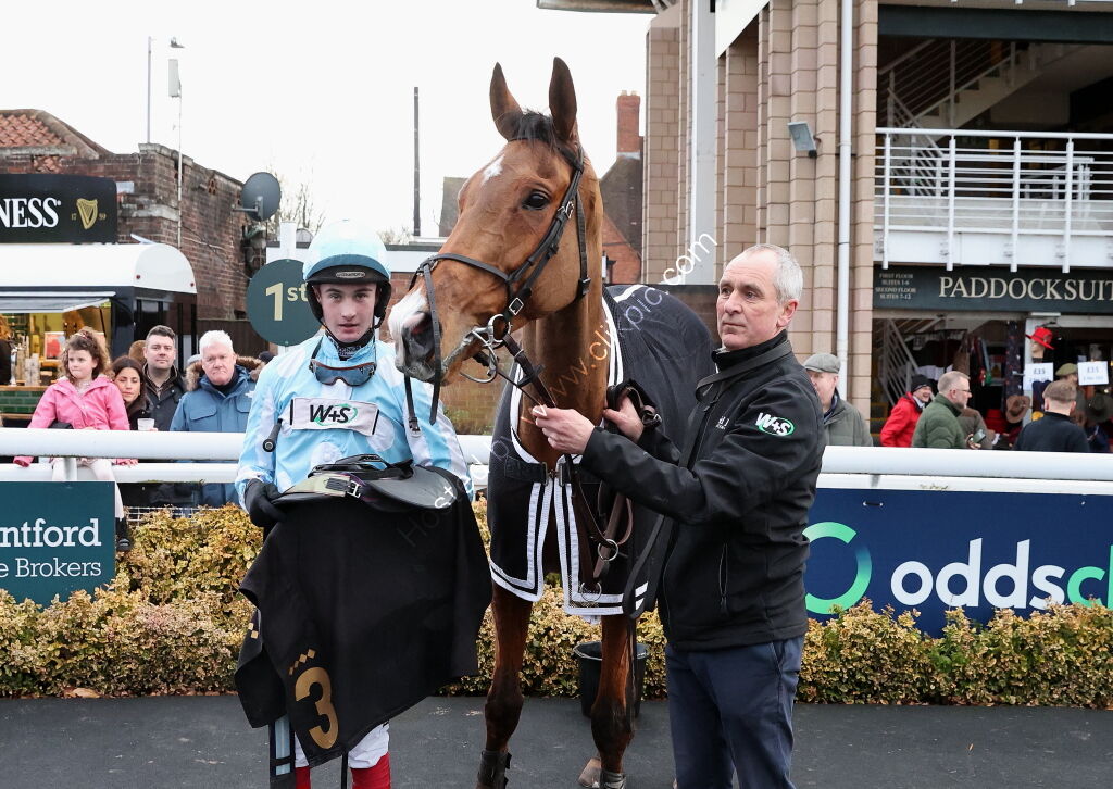 Oddschecker Handicap Hurdle