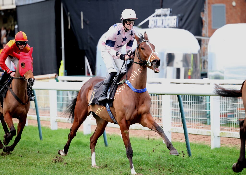 Total Metal Recovery Mares' 'NH' Flat Race