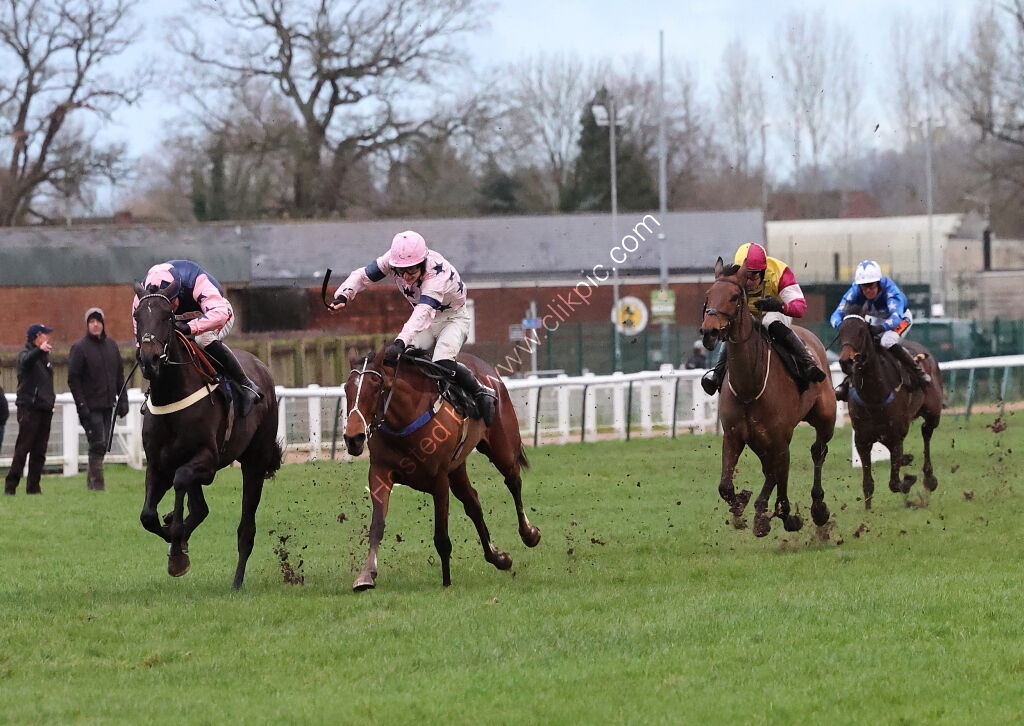 Total Metal Recovery Mares' 'NH' Flat Race