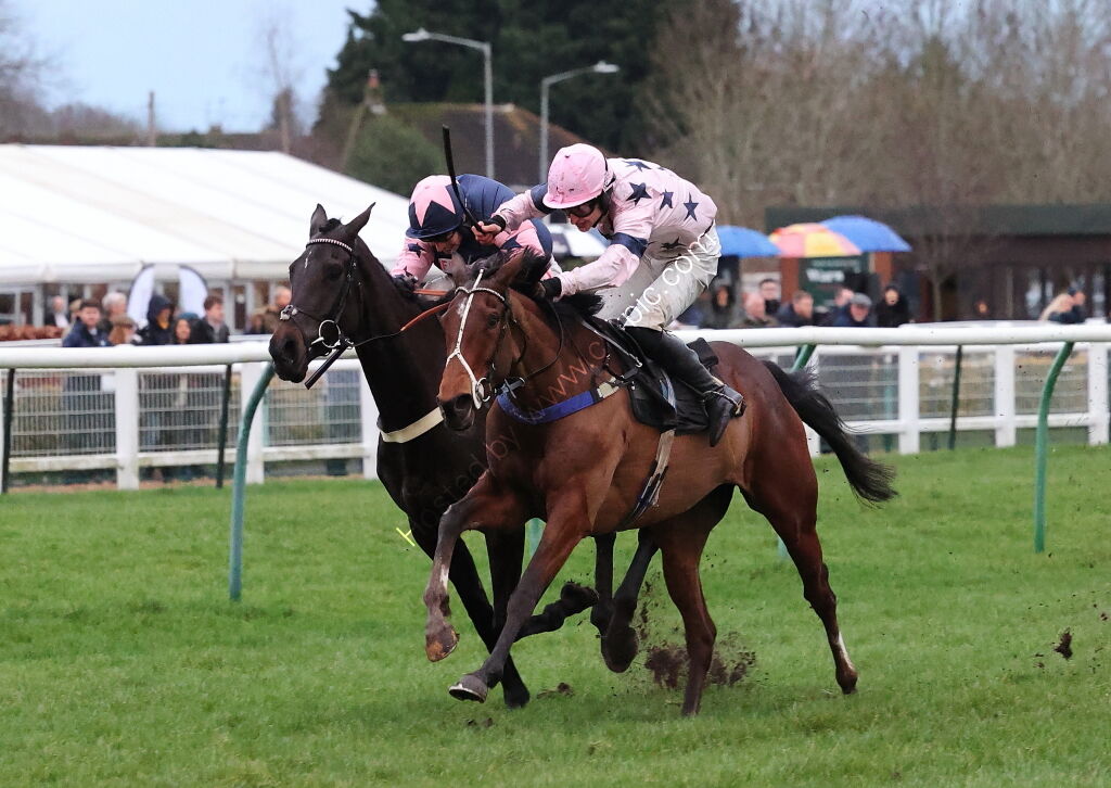 Total Metal Recovery Mares' 'NH' Flat Race