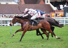 Total Metal Recovery Mares' 'NH' Flat Race