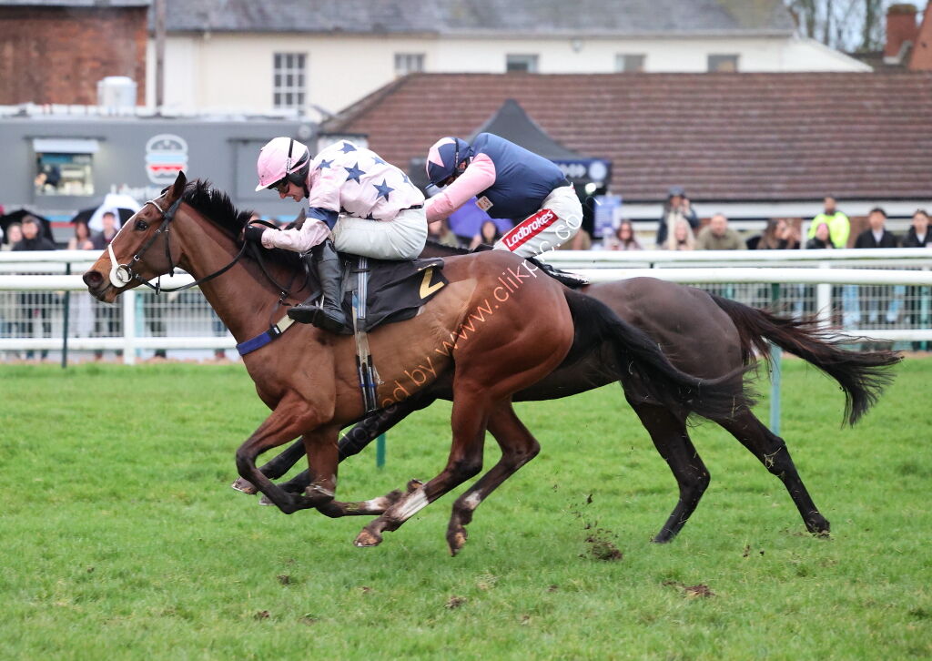 Total Metal Recovery Mares' 'NH' Flat Race