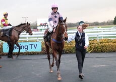 Total Metal Recovery Mares' 'NH' Flat Race