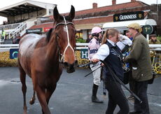 Total Metal Recovery Mares' 'NH' Flat Race